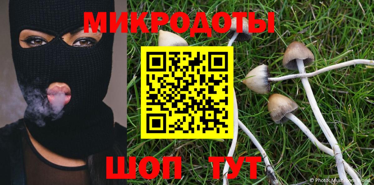 Псилоцибиновые грибы ЛСД  Псилоцибиновые грибы Cubensis  Ульяновск  Вход с VPN 